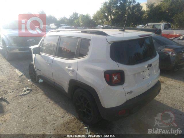 جيب رينيجيد